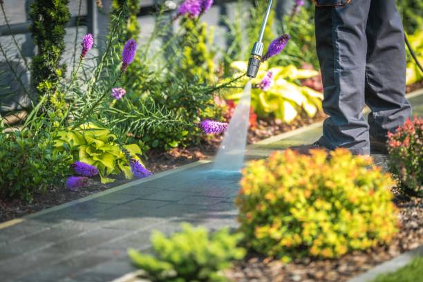 Best Winterizing Services  in Shenandoah Junction, WV