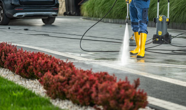 Best Solar Panel Cleaning  in Shenandoah Junction, WV